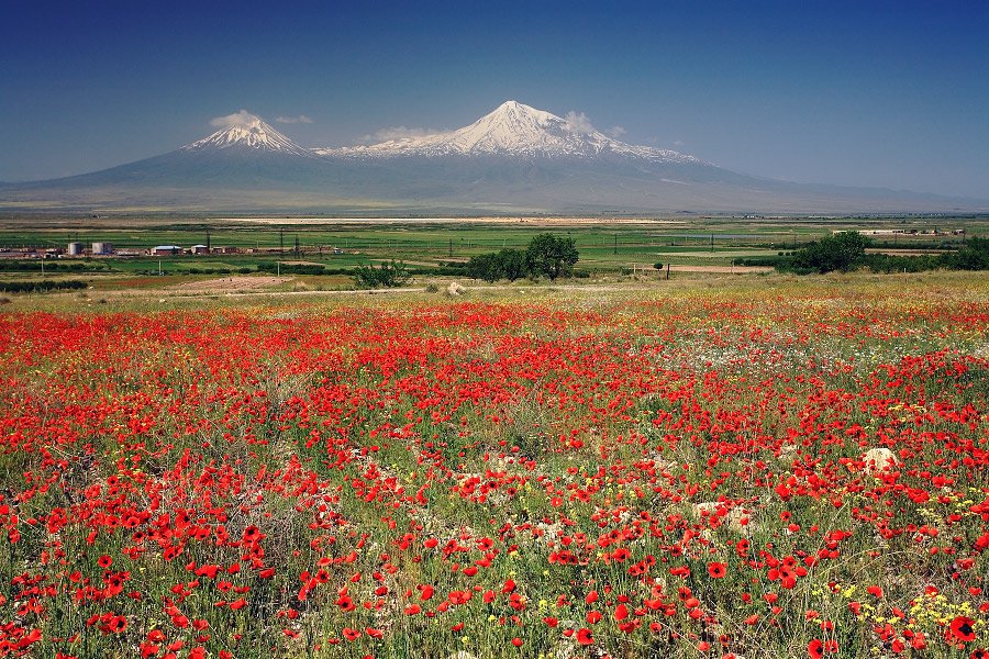 арарат.jpg